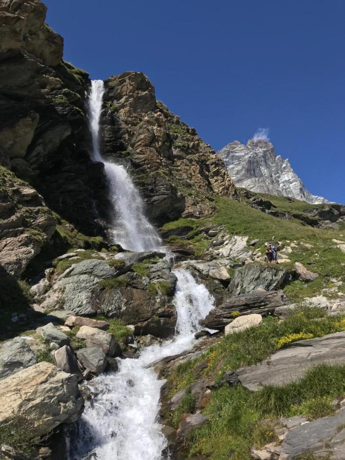 Chat Des Neiges - Cervinia Breuil-Cervinia Exteriör bild